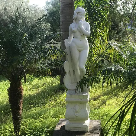 Romana ריקאדי