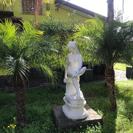 Romana * Ricadi